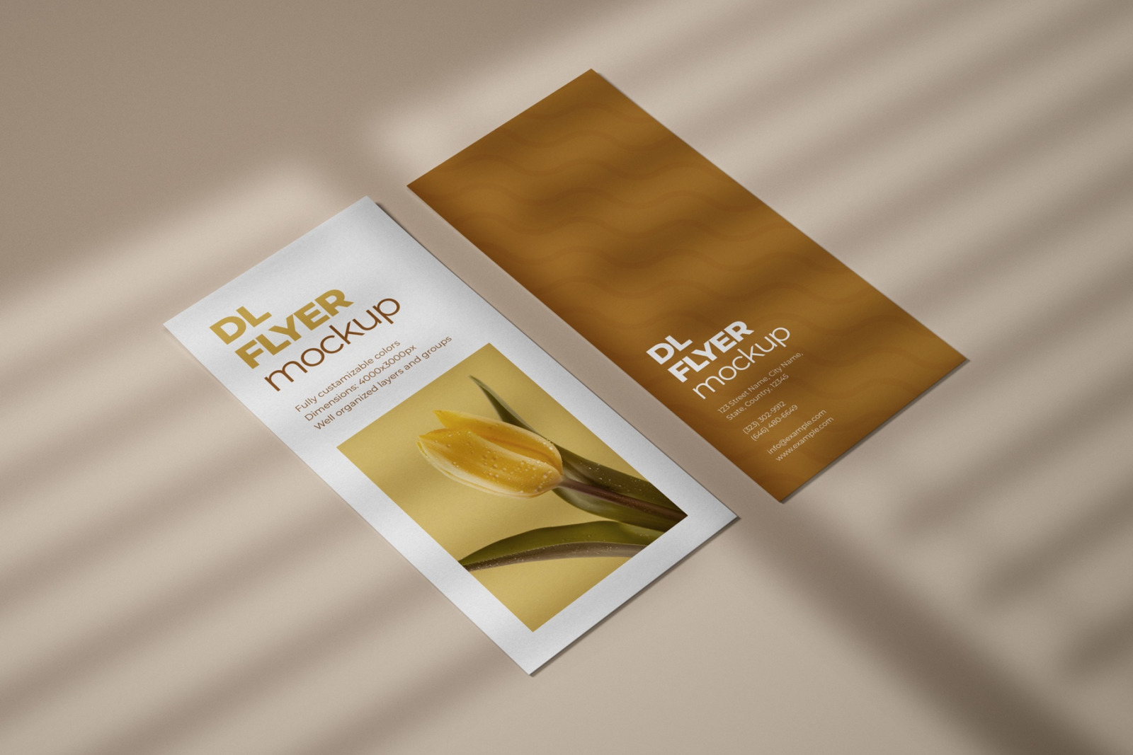 DL Flyer Mockup Set DL Flyer Mockup Set