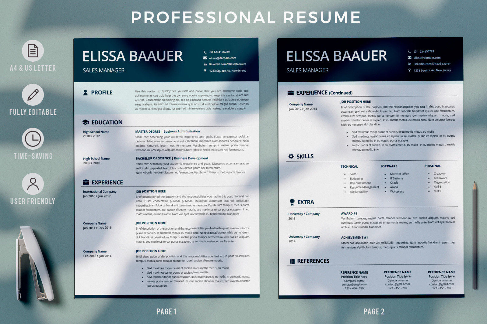 Modern Resume Template. Professional Biodata template for MS Word &amp; Pages. Sales Manager Modern CV