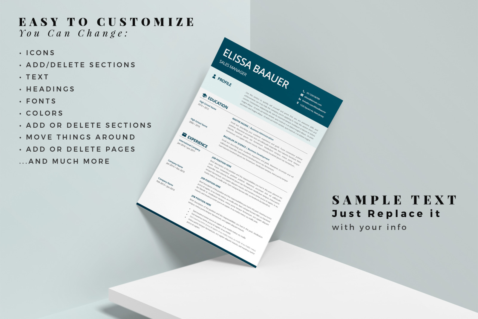 Modern Resume Template. Professional Biodata template for MS Word &amp; Pages. Sales Manager Modern CV