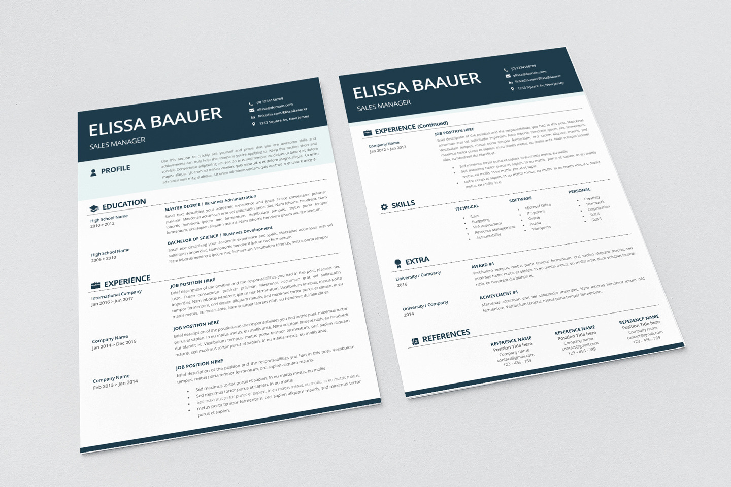 Modern Resume Template. Professional Biodata template for MS Word &amp; Pages. Sales Manager Modern CV