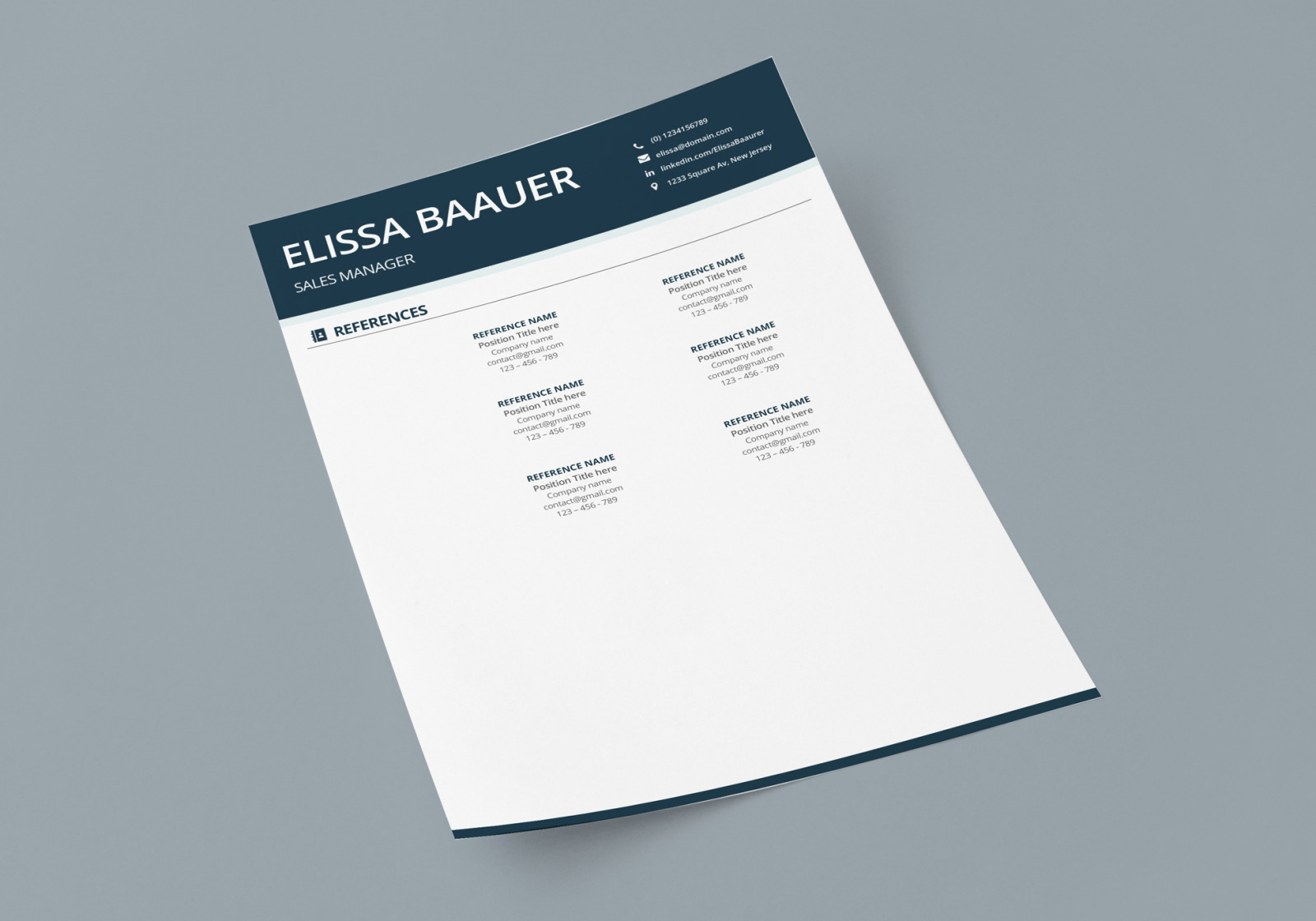 Modern Resume Template. Professional Biodata template for MS Word &amp; Pages. Sales Manager Modern CV