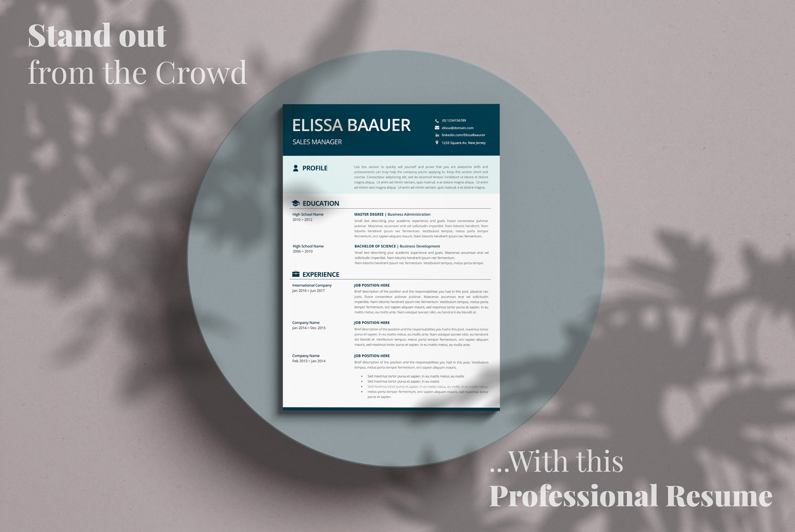 Modern Resume Template. Professional Biodata template for MS Word &amp; Pages. Sales Manager Modern CV