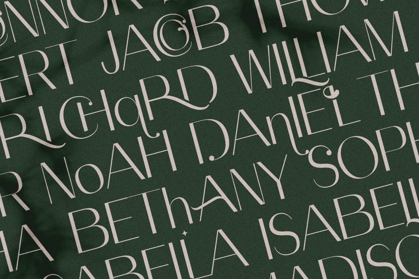 Celine - Chic Ligature Sans Font & Extras Celine - Chic Ligature Sans Font & Extras