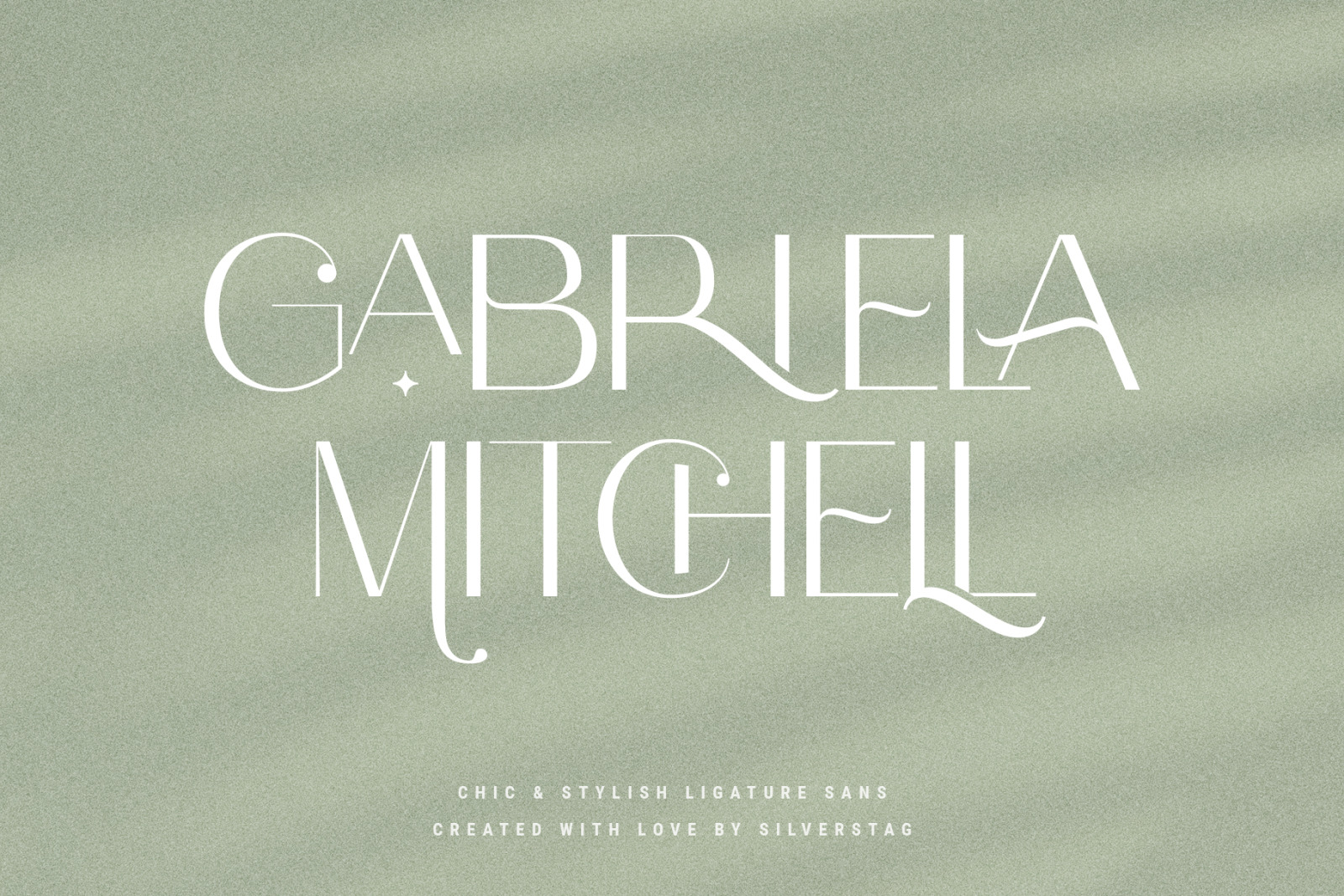 Celine - Chic Ligature Sans Font & Extras Celine - Chic Ligature Sans Font & Extras