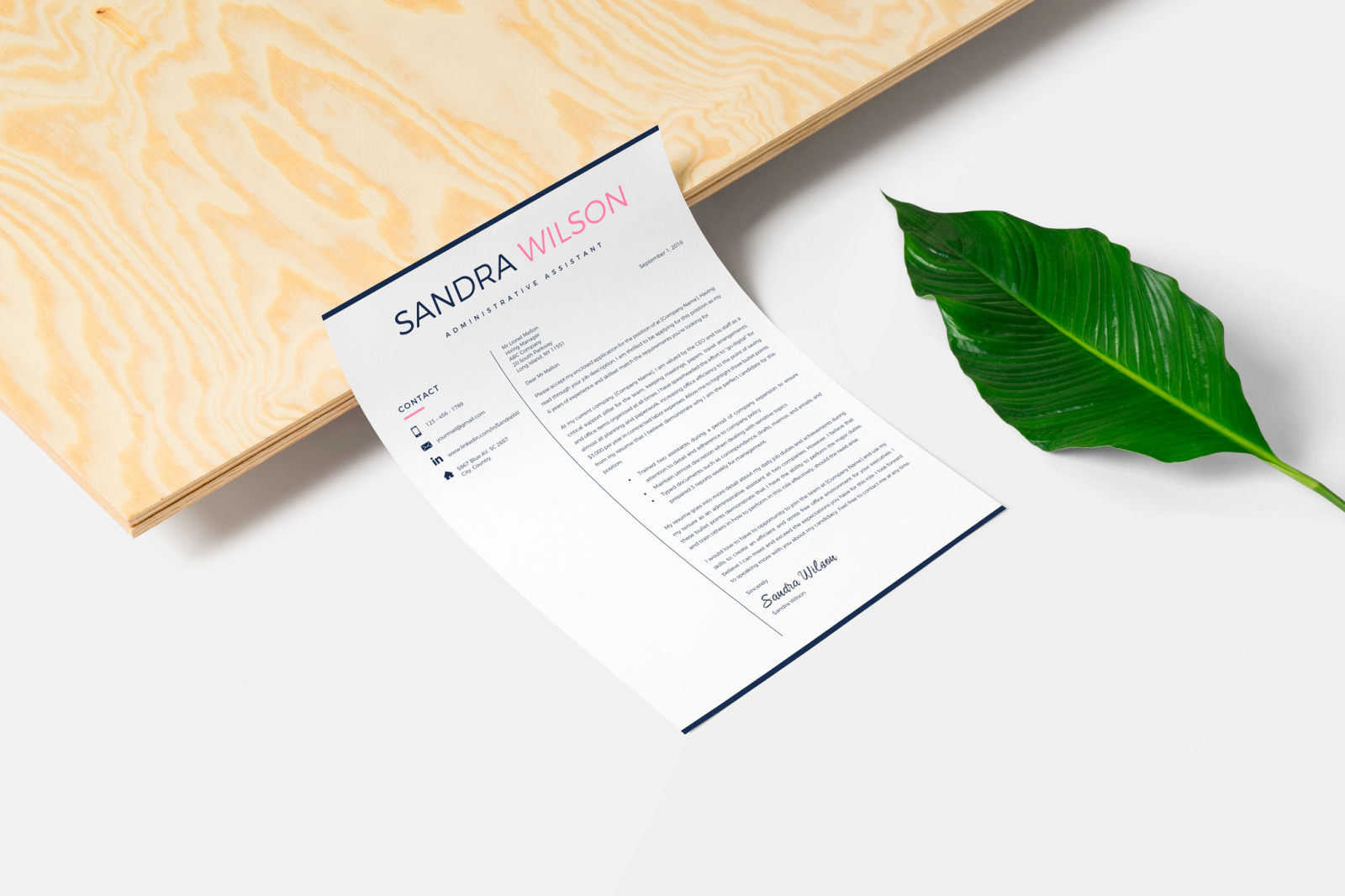 Resume Template Creative for MS Word (docx) and iWork Pages. 2 and 3 Page Resume, CV + Cover Letter