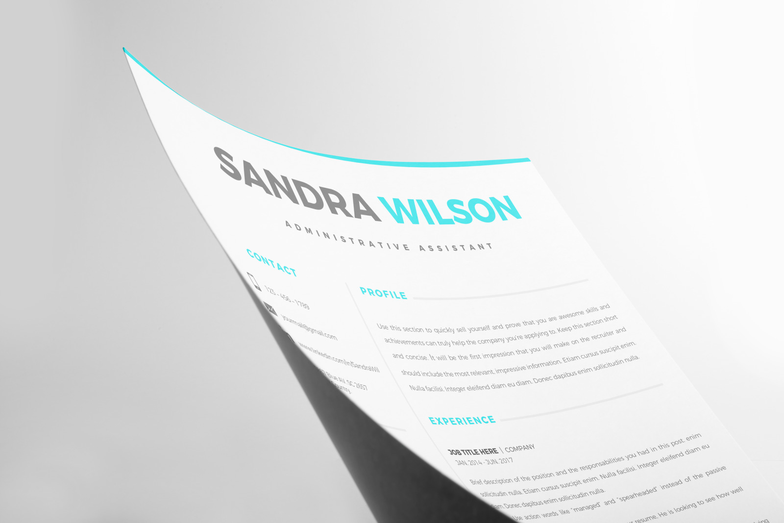 2 &amp; 3 Page Resume Template Bundle + Matching Cover Letter + References + social icon set.