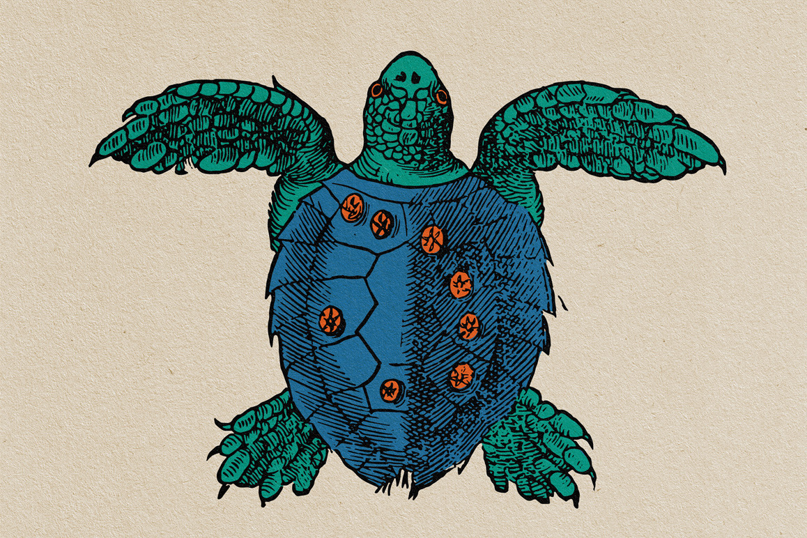 Animals of Air, Land & Water Illustrations Animals of Air, Land & Water Illustrations