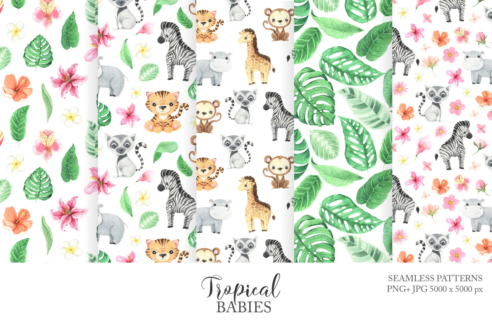 Watercolor Tropical Animals Clipart Watercolor Tropical Animals Clipart