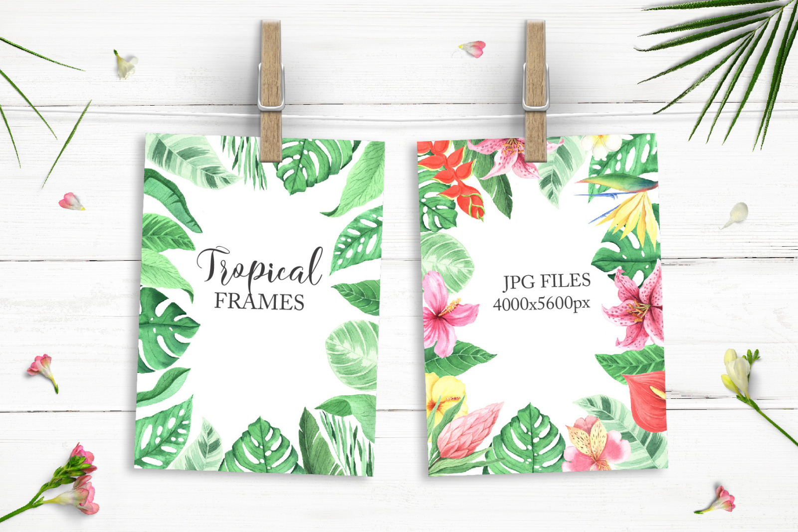 Watercolor Tropical Animals Clipart Watercolor Tropical Animals Clipart