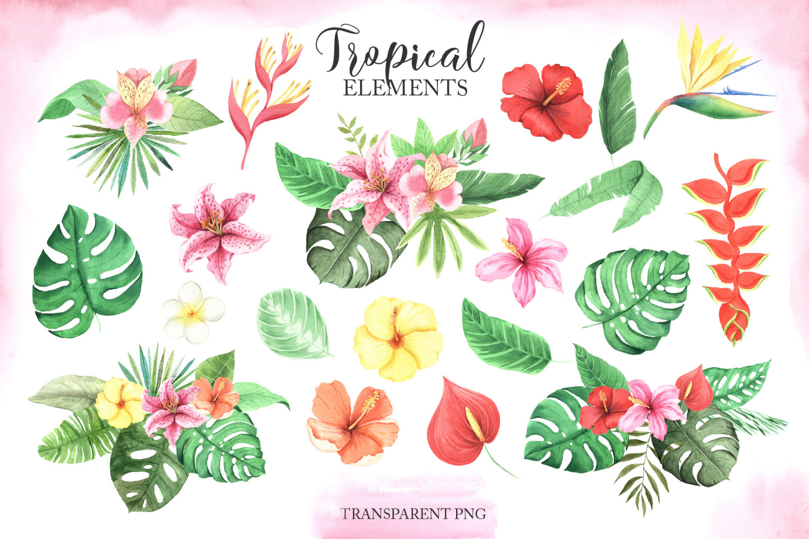 Watercolor Tropical Animals Clipart