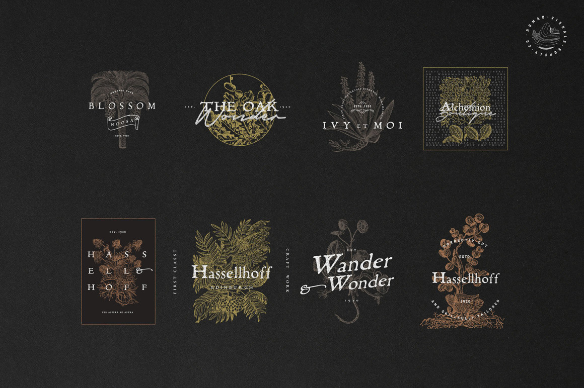 Alchemion - Display Serif Font Alchemion - Display Serif Font