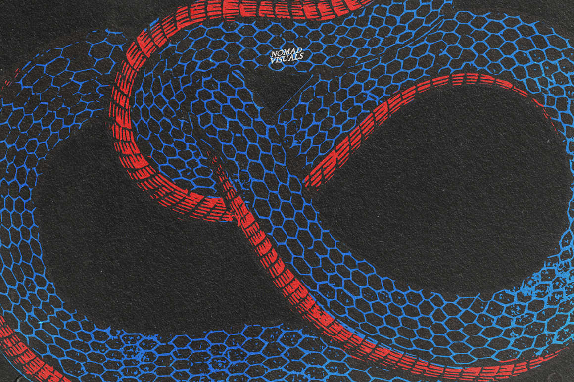 Snakes & Dragons Snakes & Dragons