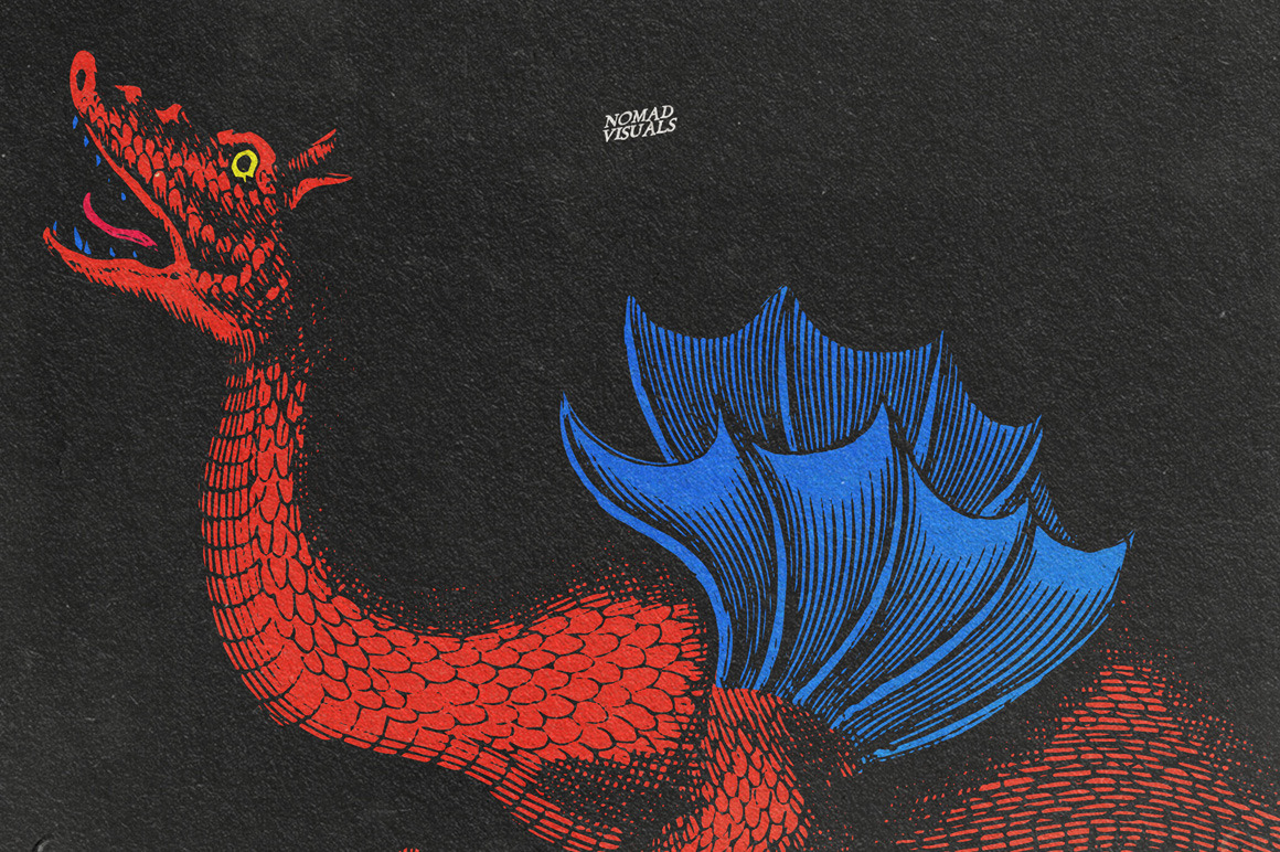 Snakes & Dragons Snakes & Dragons