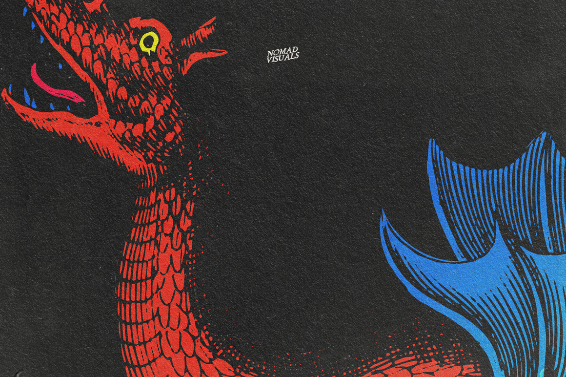 Snakes & Dragons Snakes & Dragons