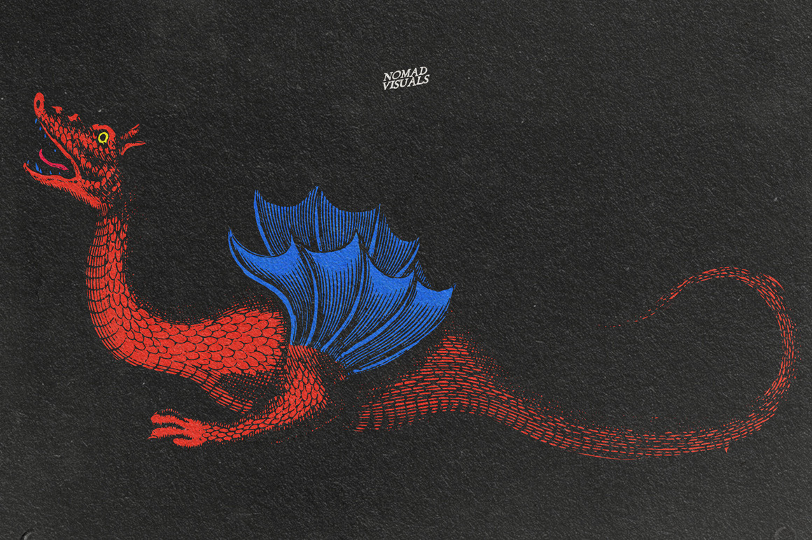 Snakes & Dragons Snakes & Dragons