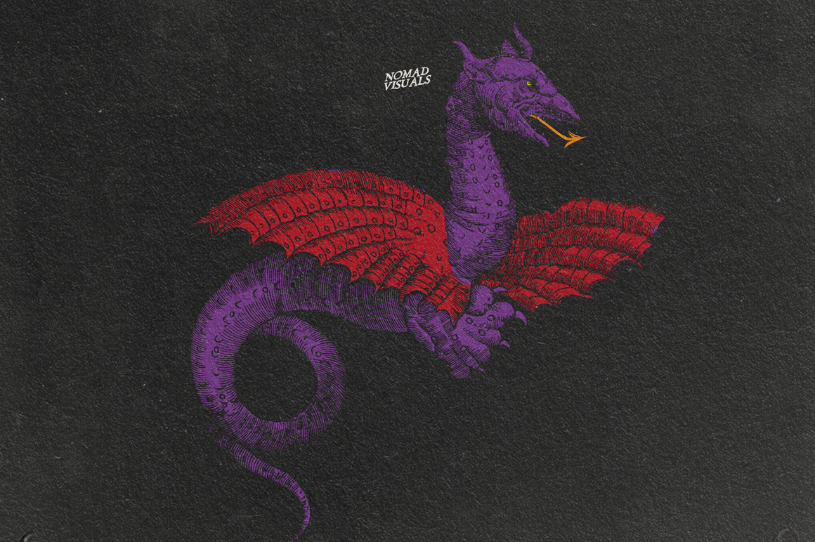 Snakes & Dragons Snakes & Dragons