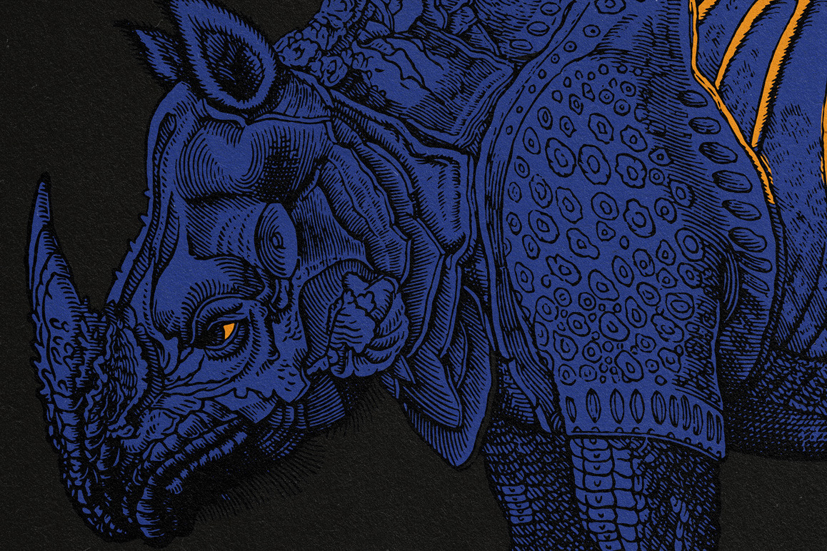 Four footed Beasts Illustrations Four footed Beasts Illustrations