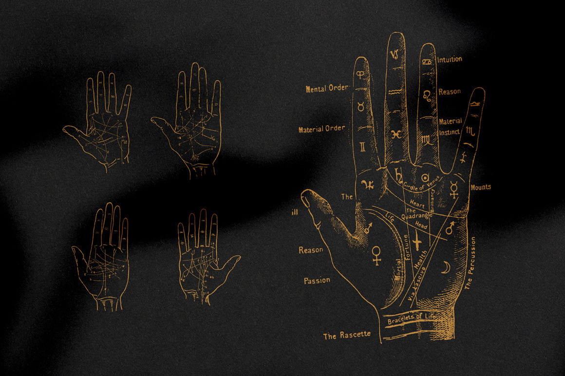 Palmistry, Zodiac & Occult Illustrations Palmistry, Zodiac & Occult Illustrations