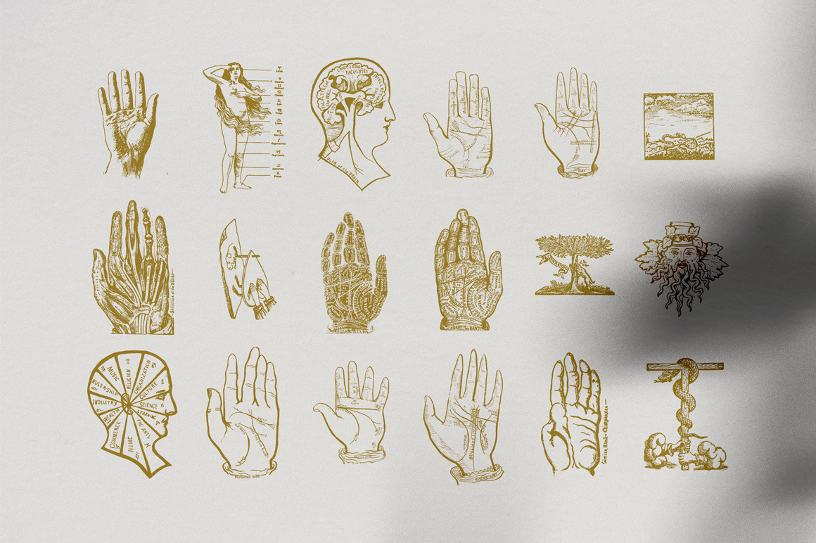 Palmistry, Zodiac & Occult Illustrations Palmistry, Zodiac & Occult Illustrations