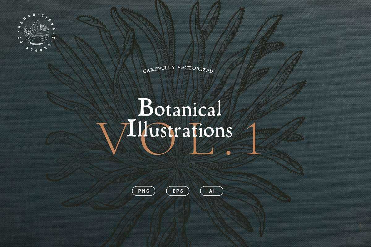 Botanical Illustrations Vol.1