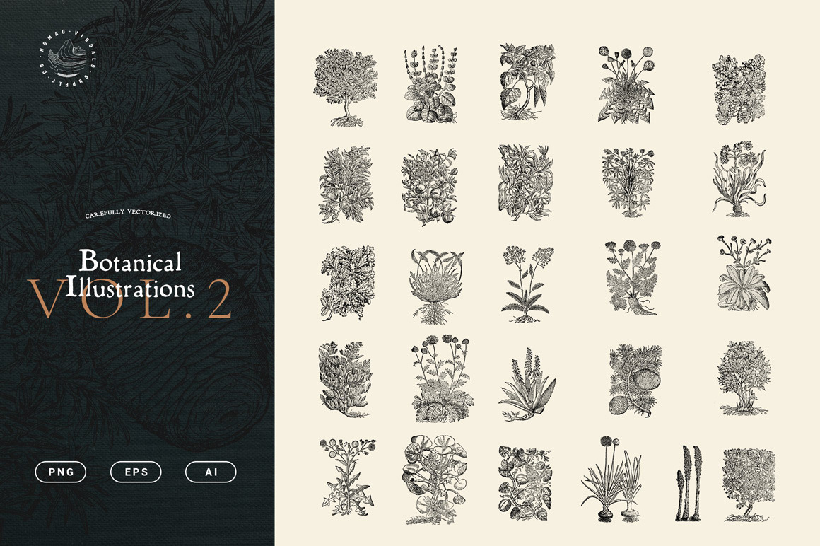 Botanical Illustrations Vol. 2 Botanical Illustrations Vol. 2