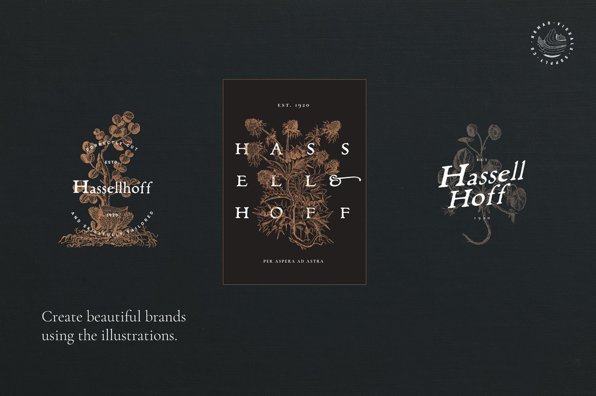 Botanical Illustrations Vol. 2 Botanical Illustrations Vol. 2