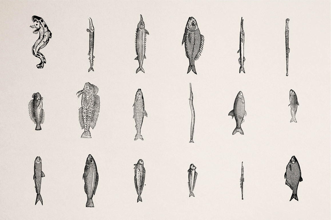 Fishes - Vol. 1 Fishes - Vol. 1
