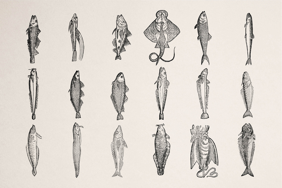 Fishes - Vol. 1 Fishes - Vol. 1
