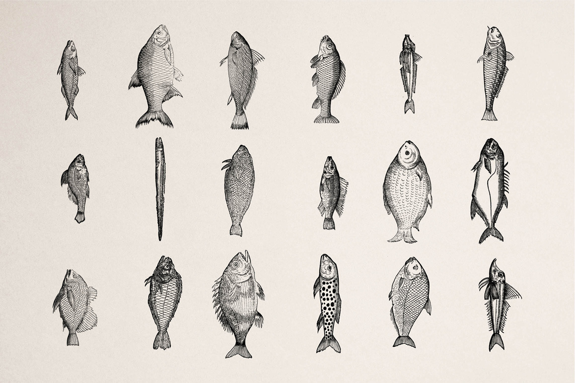 Fishes - Vol. 1 Fishes - Vol. 1