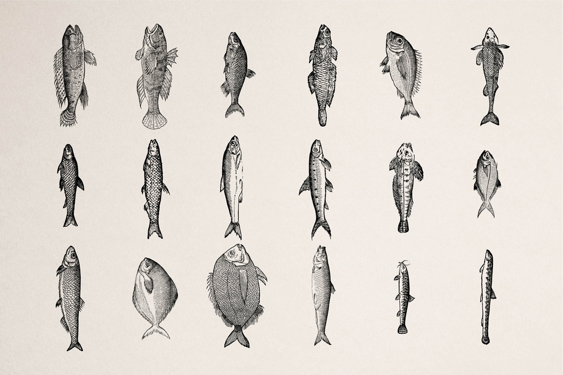 Fishes - Vol. 1 Fishes - Vol. 1