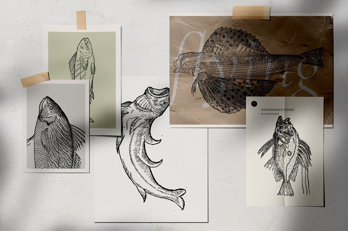 Fishes - Vol. 1 Fishes - Vol. 1