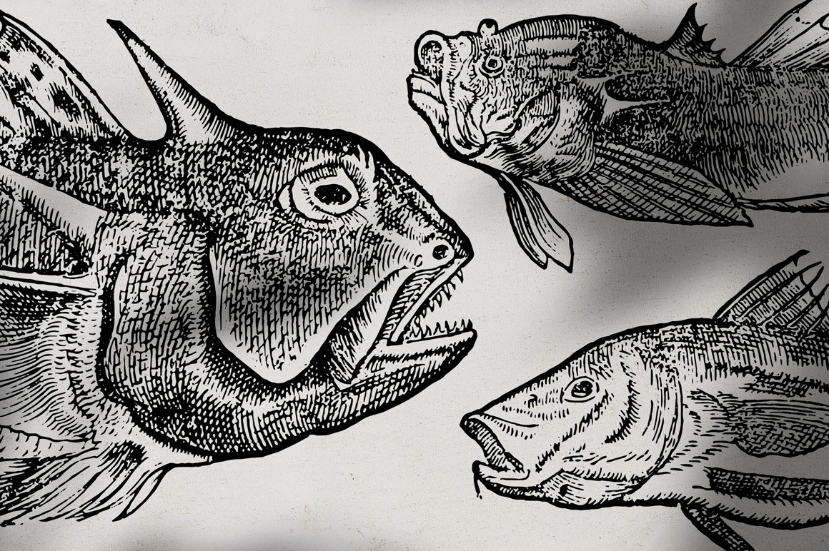 Fishes - Vol. 1 Fishes - Vol. 1