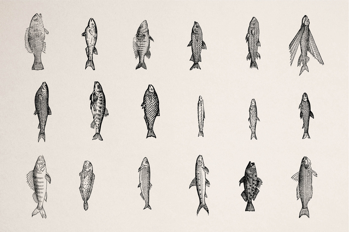 Fishes - Vol. 2