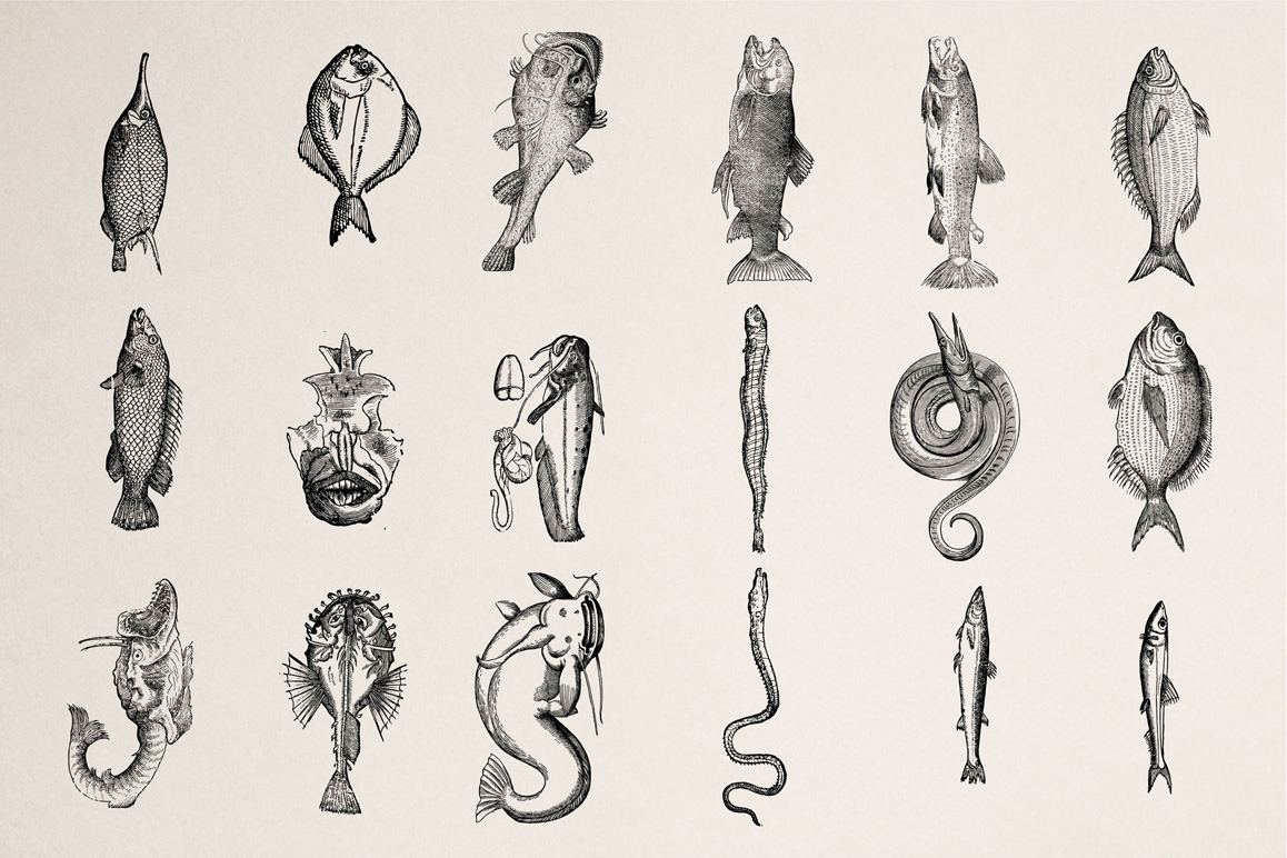 Fishes - Vol. 3 Fishes - Vol. 3