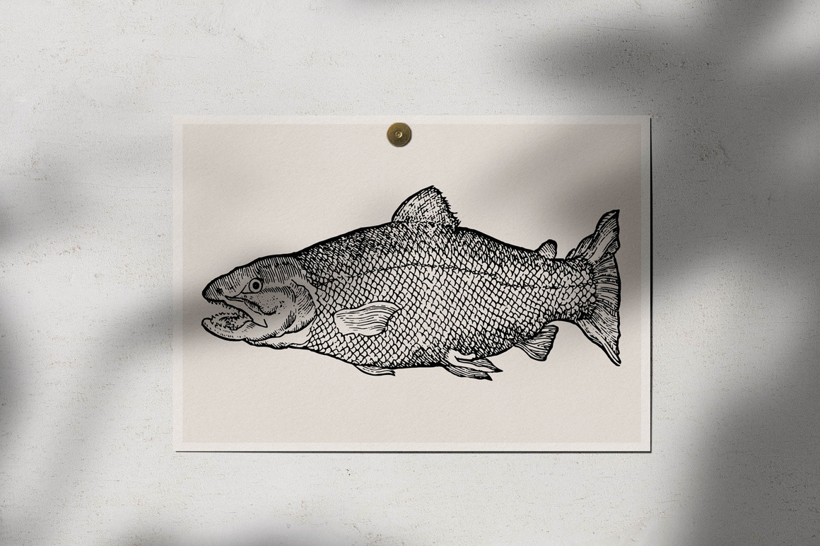 Fishes - Vol. 3 Fishes - Vol. 3
