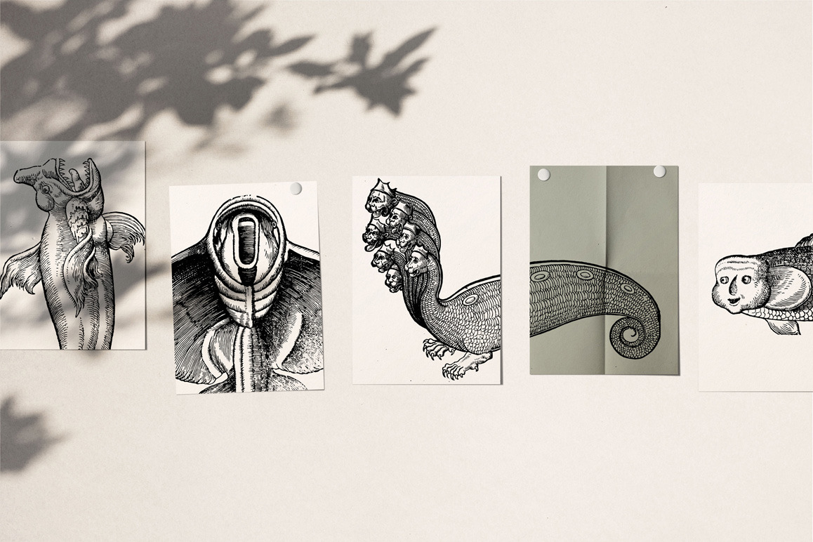 Fantastic Beasts Illustrations Fantastic Beasts Illustrations