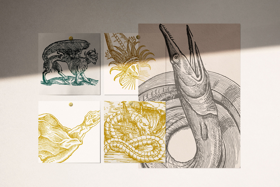 Fantastic Beasts Illustrations Fantastic Beasts Illustrations