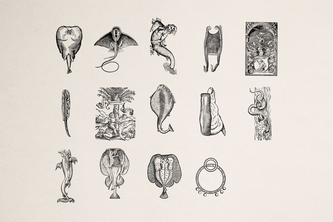 Fantastic Beasts Illustrations Fantastic Beasts Illustrations
