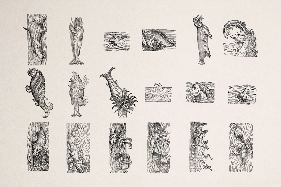 Fantastic Beasts Illustrations Fantastic Beasts Illustrations