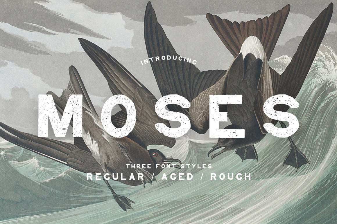 Moses - Display Grotesque Typeface Moses - Display Grotesque Typeface
