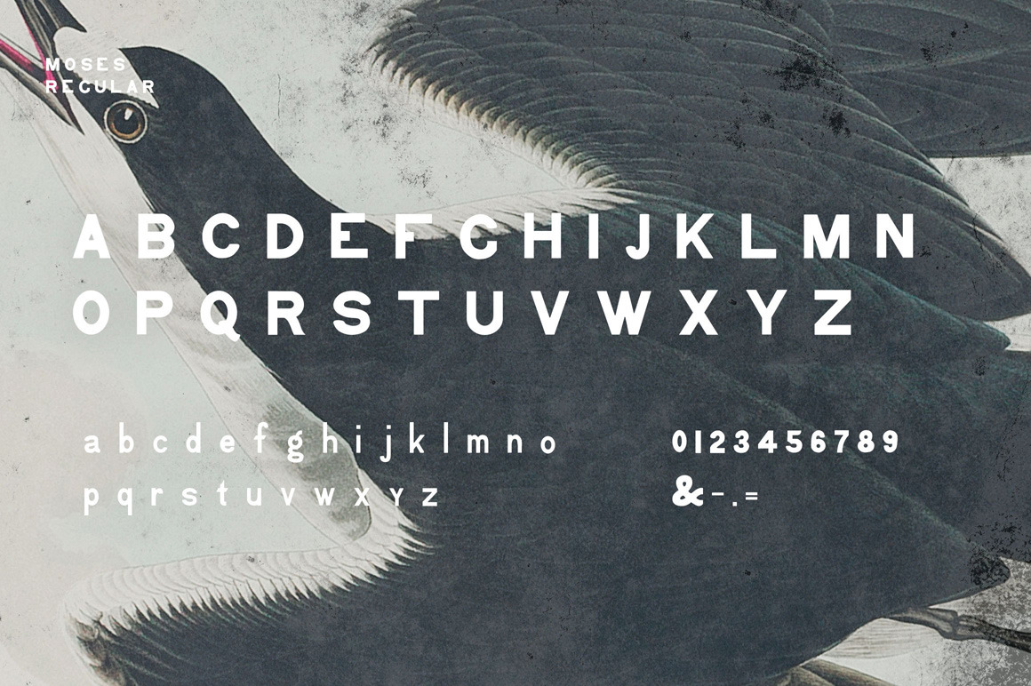 Moses - Display Grotesque Typeface Moses - Display Grotesque Typeface