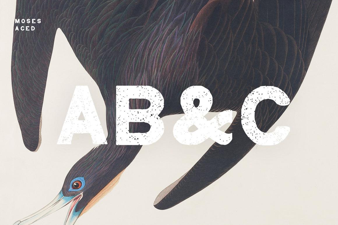 Moses - Display Grotesque Typeface Moses - Display Grotesque Typeface