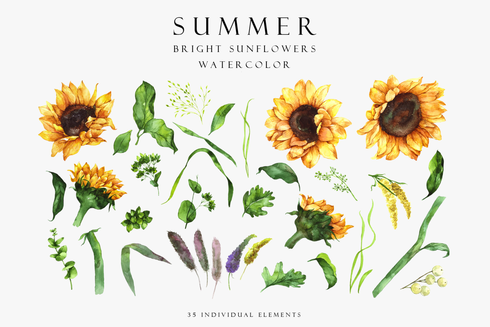 Set of summer bright sunflowers Set of summer bright sunflowers