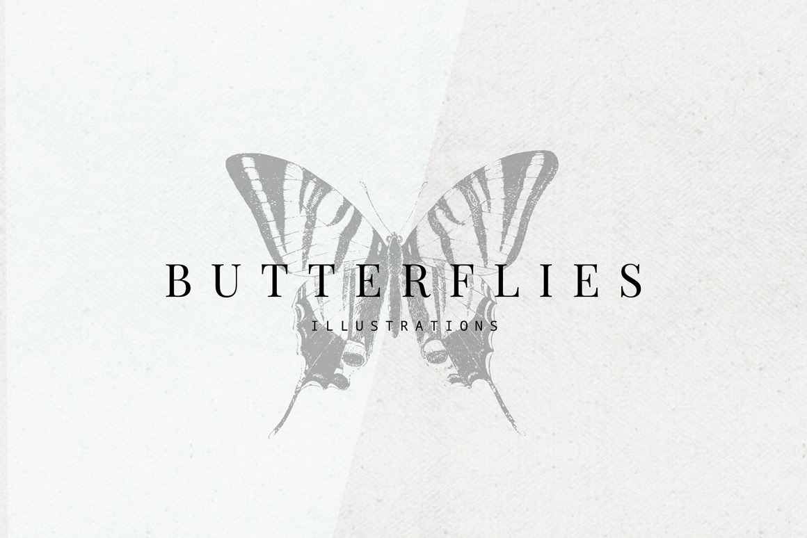 Butterflies Illustrations Butterflies Illustrations