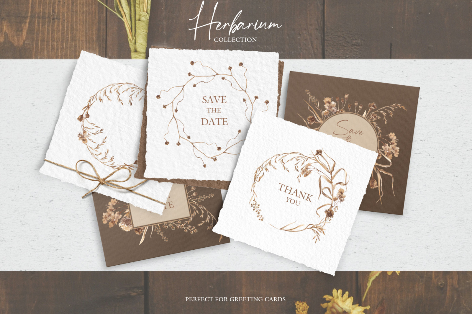 Watercolor collection herbarium Watercolor collection herbarium