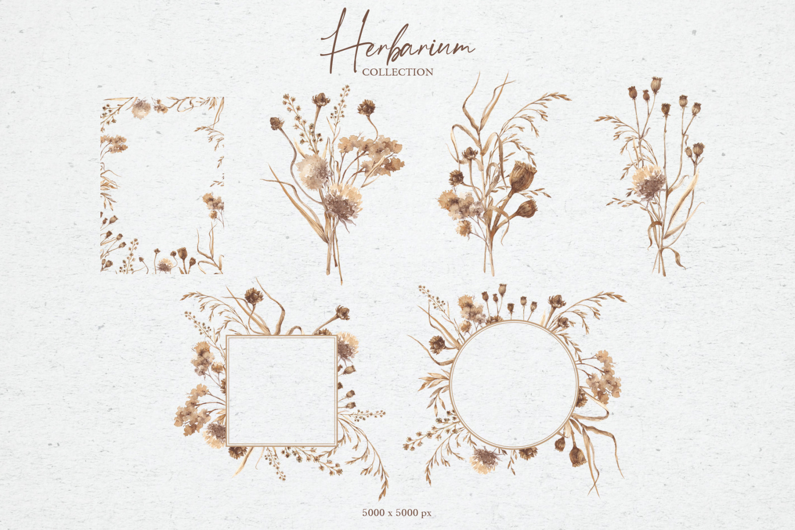 Watercolor collection herbarium