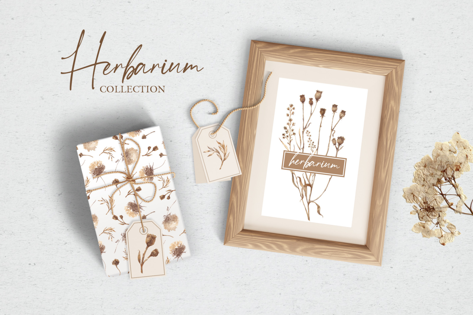 Watercolor collection herbarium