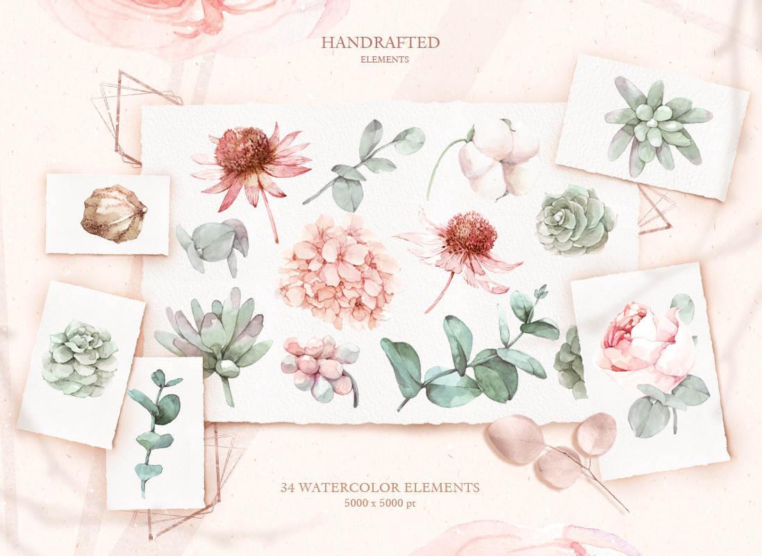 Watercolor romantic flower collection Watercolor romantic flower collection