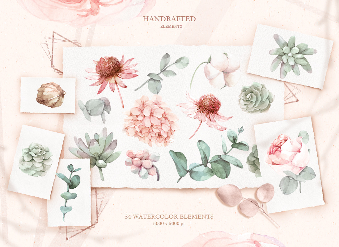 Watercolor romantic flower collection