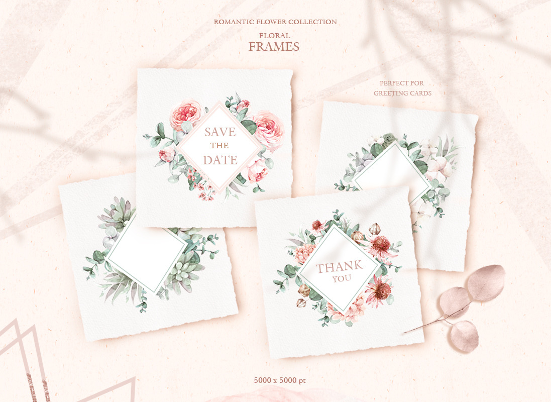 Watercolor romantic flower collection Watercolor romantic flower collection